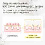 DermaLift™ Boosted Korean Collagen Serum - الصورة 3